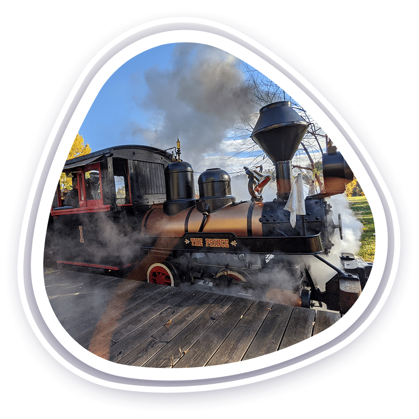 LittlePrince_BannerShape2
