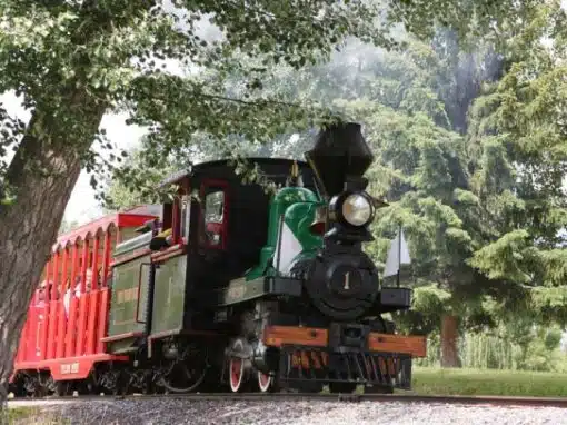 Little Prince Steam Engine