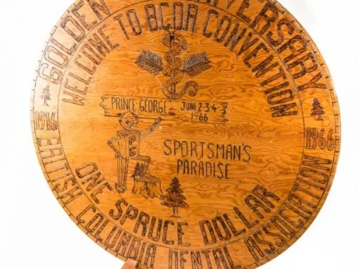 Large Spruce Dollar