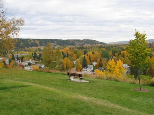 Connaught Hill Park