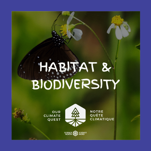 HABITAT & BIODIVERSITY