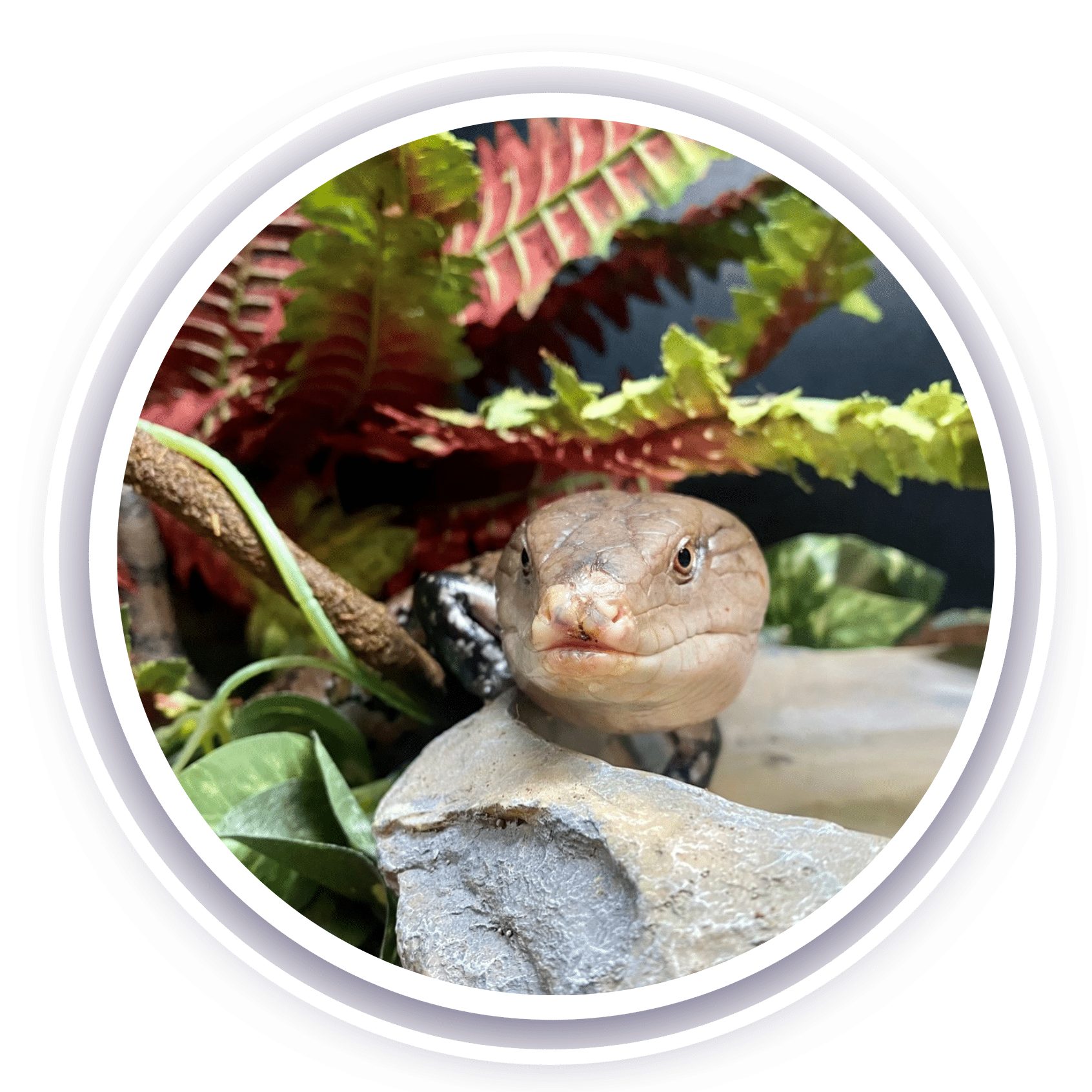 The Exploration Place News Events