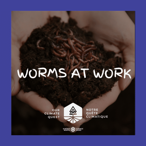 WORMS AT WORK (3)