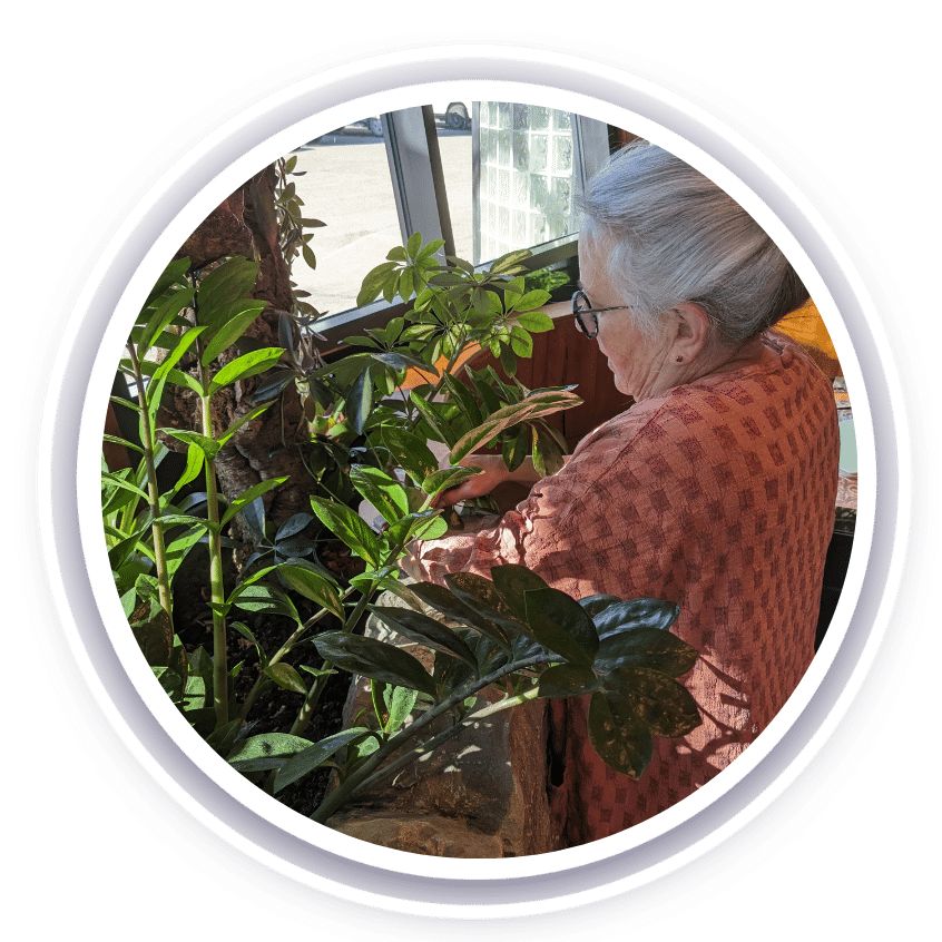 A woman watering plants