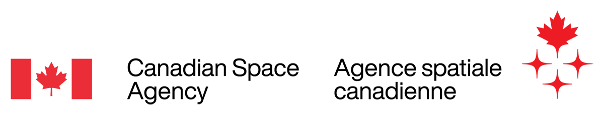 Light backgrounds horizontal coloured logo