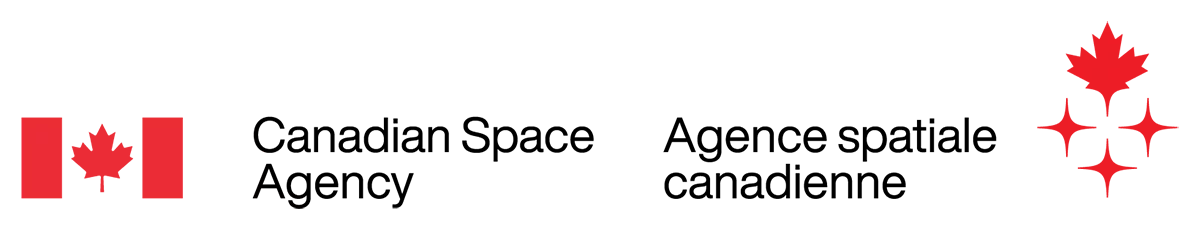 Light backgrounds horizontal coloured logo